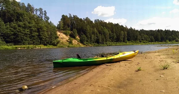 Vasarėlė 2019